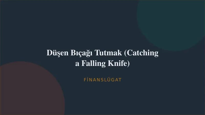 Düşen Bıçağı Tutmak (Catching a Falling Knife) — Finanslügat kapak görseli