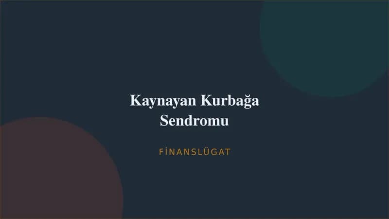 Kaynayan Kurbağa Sendromu — Finanslügat kapak görseli