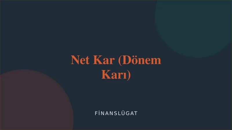 Net Kar (Dönem Karı) kapak görseli