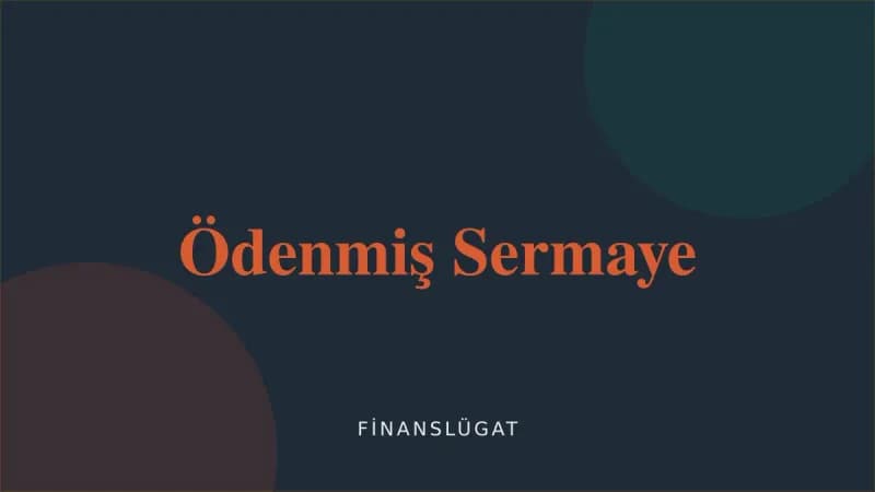 Ödenmiş Sermaye kapak görseli