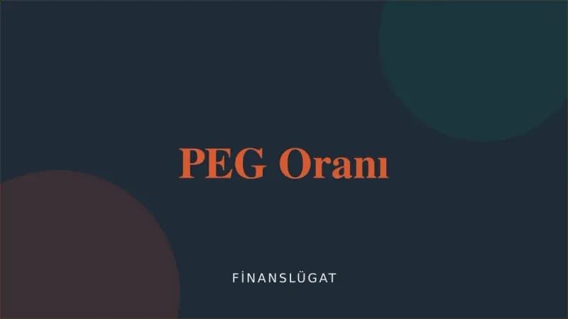 PEG Oranı kapak görseli