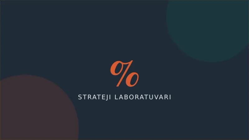 Yatırımcı İçin Vergi Optimizasyonu — Strateji Laboratuvarı kapak görseli