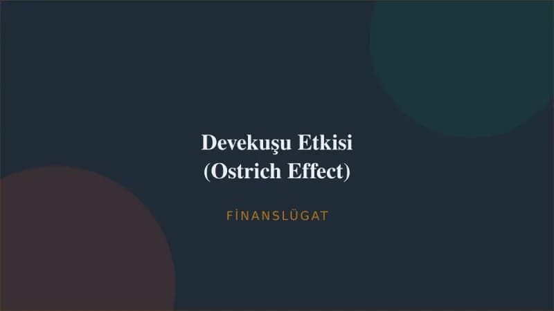 Devekuşu Etkisi (Ostrich Effect) — Finanslügat kapak görseli