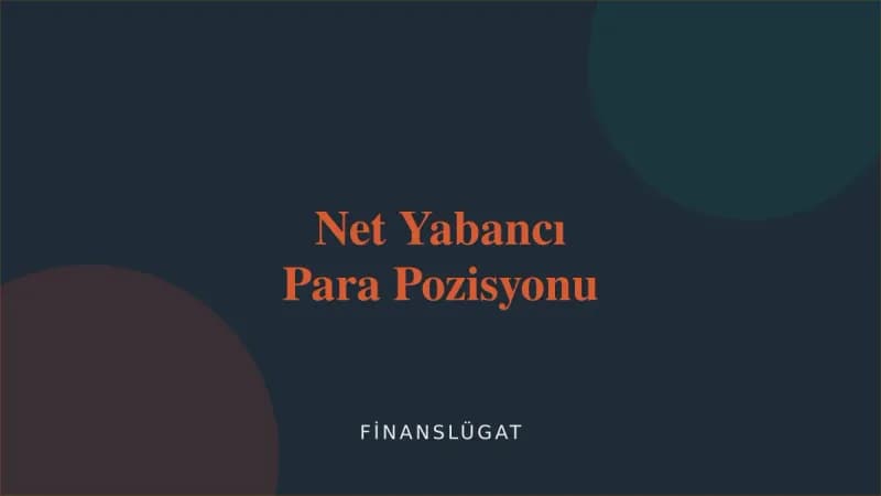 Net Yabancı Para Pozisyonu kapak görseli