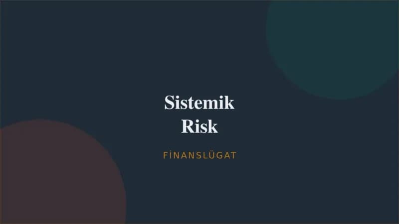 Sistemik Risk — Finanslügat kapak görseli
