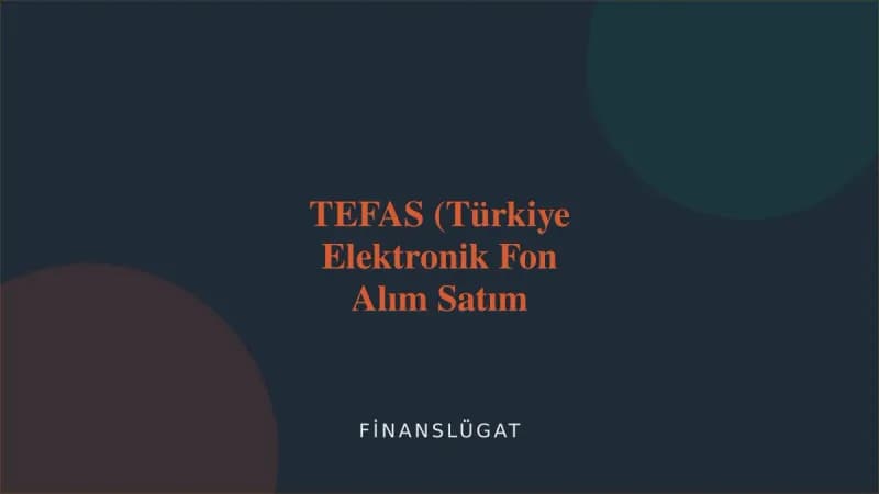 TEFAS (Türkiye Elektronik Fon Alım Satım Platformu) kapak görseli