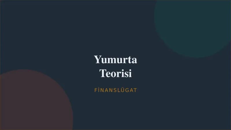 Yumurta Teorisi — Finanslügat kapak görseli